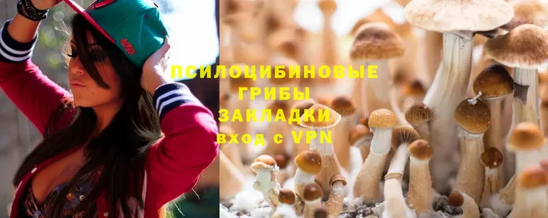 цена наркотик  Краснослободск  Галлюциногенные грибы Psilocybine cubensis 